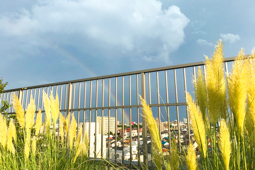 さいたま市　屋上の虹